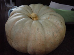 white pumpkin winter squash white pumpkin winter squash