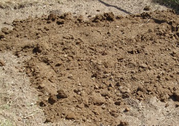 amend soil with manure