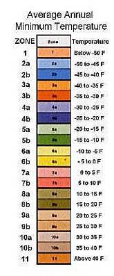 chart zone table