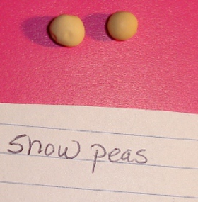 snow pea seeds